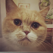 Profile Picture of Chia Hsu (@chiahsu3912) on Youtube