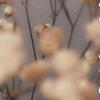 Profile Picture of Marcalien_chalfant (@@marcalien_) on Tiktok