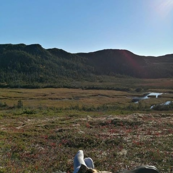 Profile Picture of Derick Osmond (@derick_osmond) on Poshmark