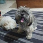 Profile Picture of Sean Wilbert (@wilbertsean) on Instagram