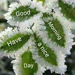 Profile Picture of suresh chander (@drsureshmalik660) on Instagram