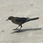 Profile Picture of Jake And Kolby (@j_and_k_finsta_) on Instagram