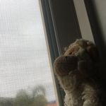 Profile Picture of Andrew Stollmeyer (@andrew_mon2019) on Instagram