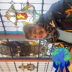 Profile Picture of Joy Halforty (@Joy-Halforty) on Facebook