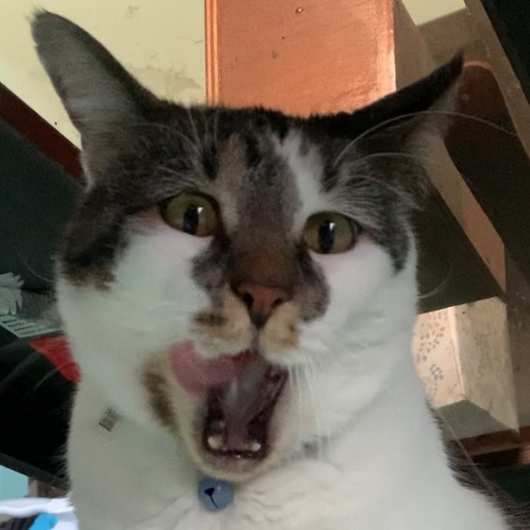 Profile Picture of Aaron Felton (@shaarkyjf) on Poshmark