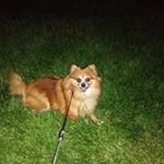 Profile Picture of William Tannahill (@wmtannahill) on Instagram