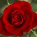 Profile Picture of Eva Mohamed (@eva.helloub.5) on Facebook