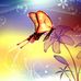 Profile Picture of Morgan Locklear (@morgan.locklear.5070) on Facebook