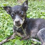 Profile Picture of BrianCosme (@beecos_memes_) on Instagram