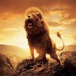 Profile Picture of 🅹🅸🅻🅻🆄 (@leo_hunting222) on Instagram