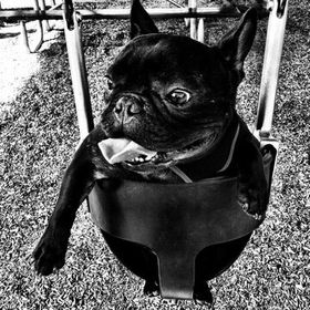 Profile Picture of Kristie Drummond (@kristielinn02) on Pinterest