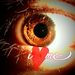 Profile Picture of Claudia Santoyo (@clausula) on Pinterest