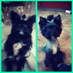 Profile Picture of Robert Johnson (@dedovaacochis) on Instagram