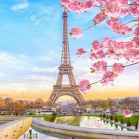 Profile Picture of Amanda Kniffen (@amanda-kniffen-2) on Quora