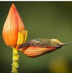 Profile Picture of Candi Cadena (@candi.cadena.16) on Facebook