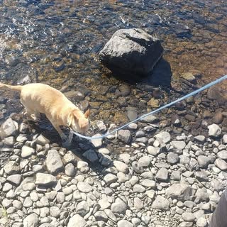 Profile Picture of Michael James Jandro (@jandromichael) on Instagram