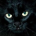 Profile Picture of Jacques Chabot (@chabotjacques) on Instagram