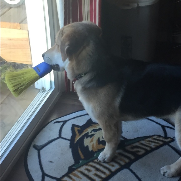 Profile Picture of Jared Profitt (@jared_profitt33) on Poshmark