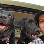 Profile Picture of David Wendler (@david.wedler) on Instagram