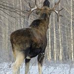 Profile Picture of miranda hooper (@miranda6694fm) on Instagram