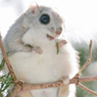 Profile Picture of Aaditya Vora (@aaditya-vora-5) on Quora