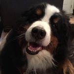 Profile Picture of garth (@starbake07) on Instagram