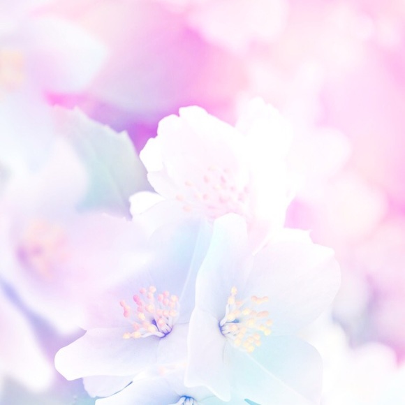 Profile Picture of Berkeley Lock (@berkeleymacy_) on Poshmark