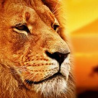 Profile Picture of Joshua Dada (@joshua-dada-9) on Quora