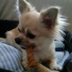 Profile Picture of Doris (@dorisrenatereimer) on Instagram