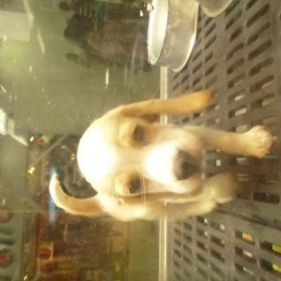 Profile Picture of Sara Arias Forero (@arias_forero) on Twitter