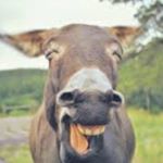 Profile Picture of Robert Dujardin Lol (@roberto_lerigolo) on Instagram