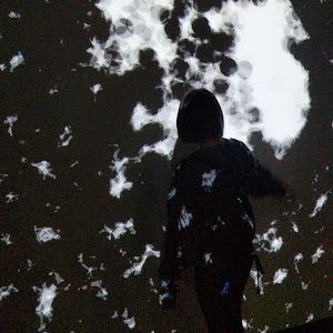 Profile Picture of Ali (@alexandralipman42) on Tiktok