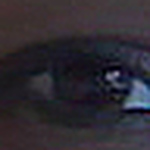 Profile Picture of Wanda Thompson (@wanneetee11) on Flickr