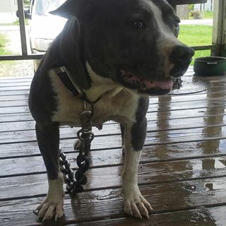 Profile Picture of Joseph Rideaux (@joseph.rideaux.3) on Facebook