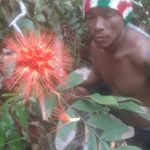 Profile Picture of luis antonio Batista Bedoya (@luisbatista1276) on Instagram