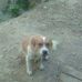 Profile Picture of Laurentiu Gherlan (@laurentiu.gherlan) on Facebook