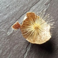 Profile Picture of Bryce Hite (@bryce-hite) on Quora