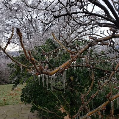 Profile Picture of Martha Cecilia Paz (@CCPazP1) on Twitter