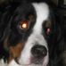 Profile Picture of Bill Repp (@bill.repp.5) on Facebook