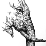 Profile Picture of Phi Long Le (@Phi Long Le) on Flickr