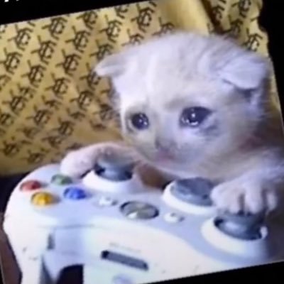 Profile Picture of Joshua Cardozo (@JoshuaCardozo9) on Twitter