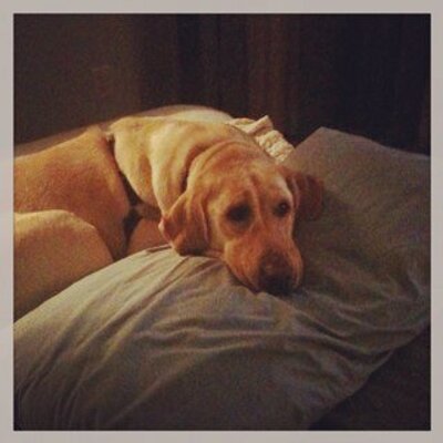 Profile Picture of Lisa Doty (@ldoty75) on Twitter