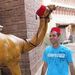 Profile Picture of Jason DiGregorio (@jasondigregorio) on Pinterest