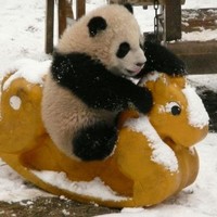 Profile Picture of Xiaohong He (@xiaohong-he-2) on Quora