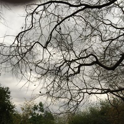 Robin Knox-Grant - Twitter Profile Picture of Robin Knox-Grant (@concerned127) on Twitter