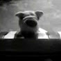 Profile Picture of kolocho kitler (@@CarsonMelvin) on Tiktok