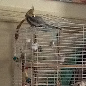 Profile Picture of Richard Simard (@richardsimard3930) on Youtube