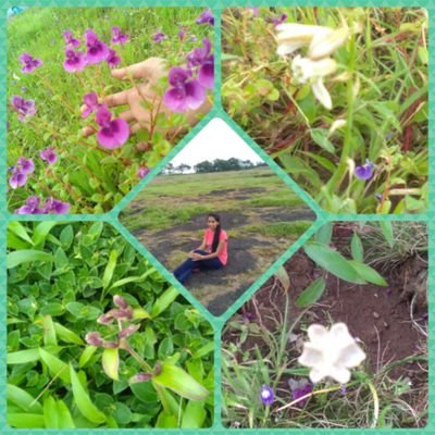 Varsha Jadhav - Twitter Profile Picture of Varsha Jadhav (@varshajadhav291) on Twitter