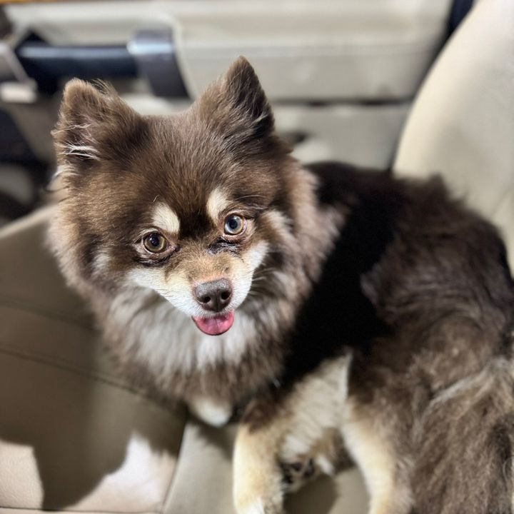 Profile Picture of Libby Ben (@libbyben) on Tiktok