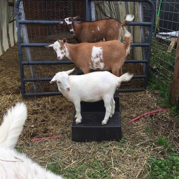 Profile Picture of Jerri Walker-peterson (@jp69metal) on Poshmark